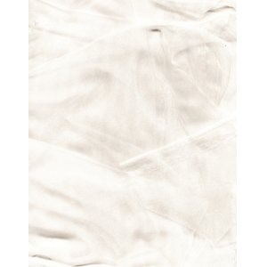 Organza cream sheer fabric 150cm wide price is per metre